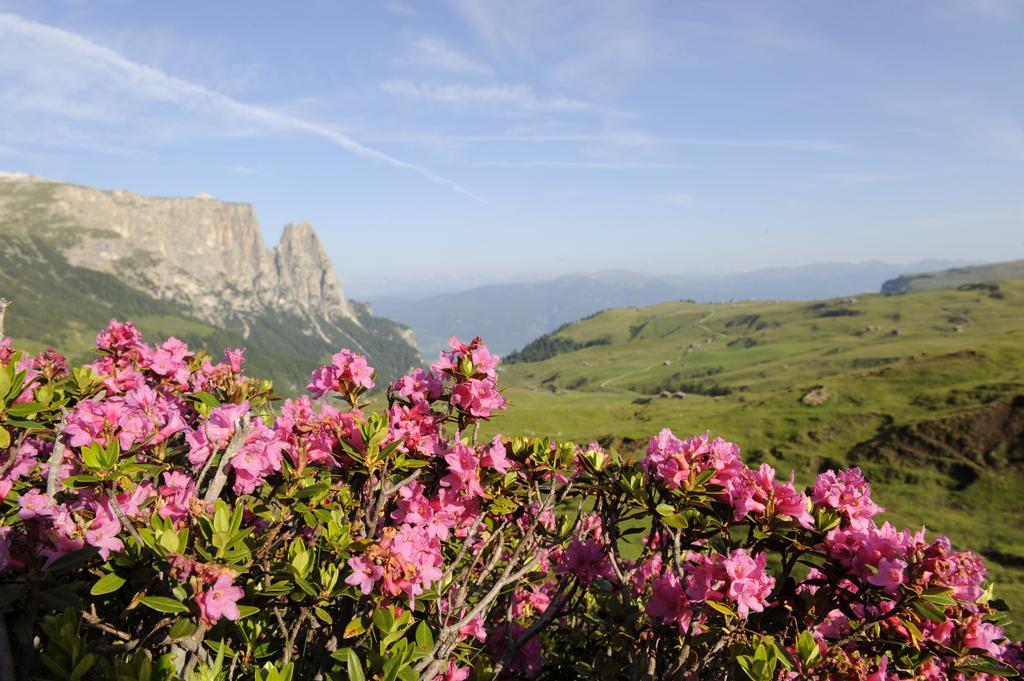 Apartment Sella Siusi Exteriér fotografie